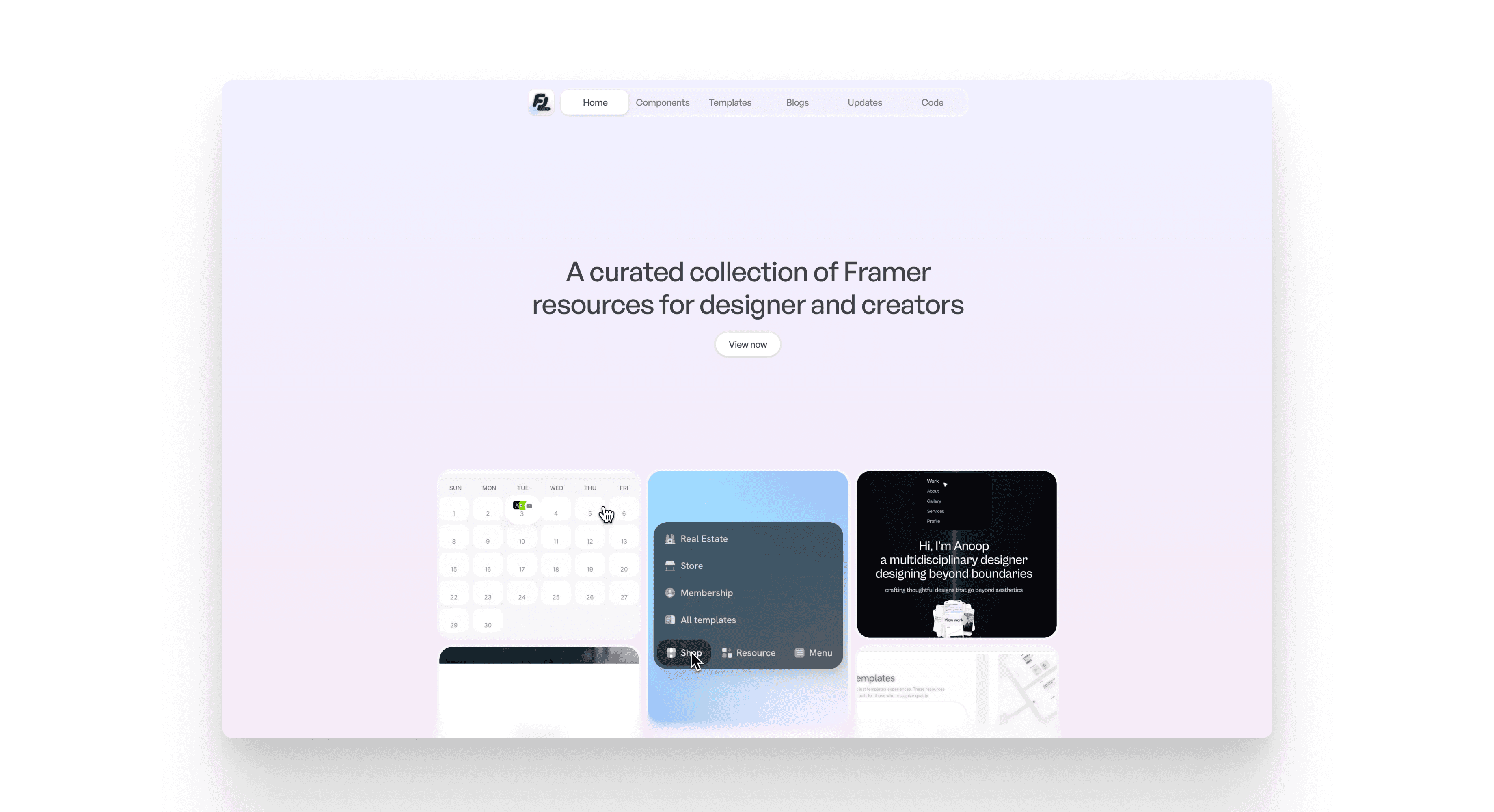 Framerlists website design